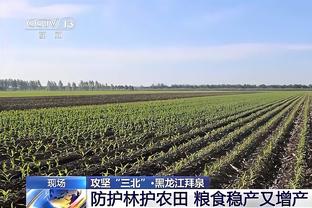 德泽尔比夸麦卡利斯特：他很诚实，转会前就向我解释了原因